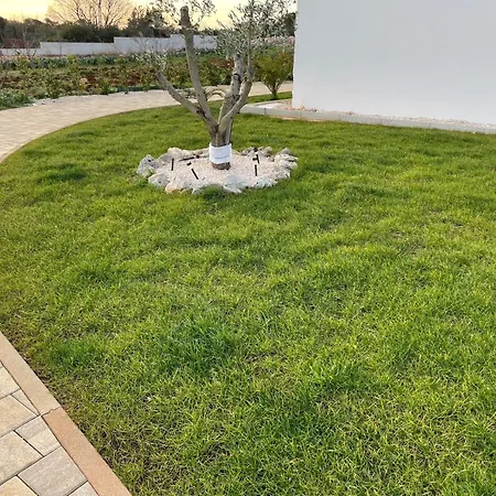 Podversie Villa Debeljak