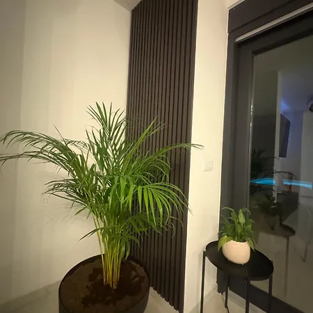 Podversie * Debeljak