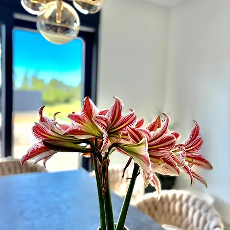 Podversie ヴィラ *