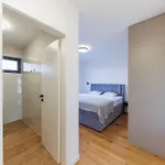فيلة Podversie
